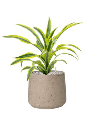 Soil (Vulkastrat)