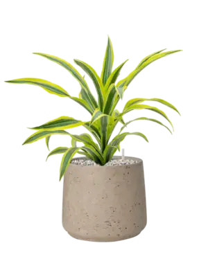 Soil (Vulkastrat)
