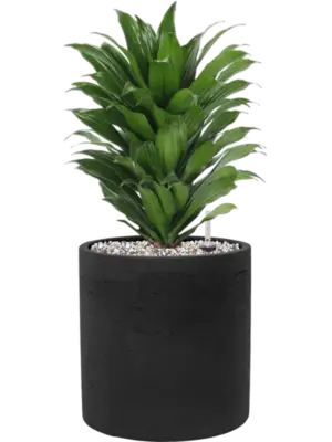 Soil (Vulkastrat)