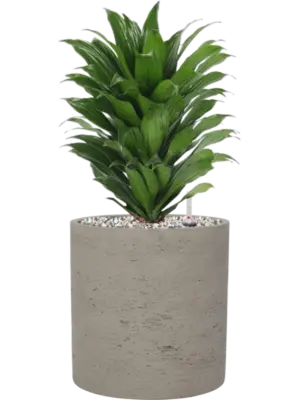 Soil (Vulkastrat)