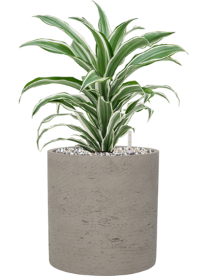 Soil (Vulkastrat)