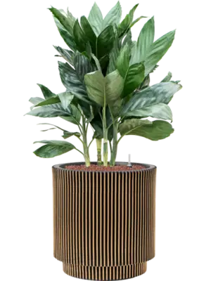 Hydroculture