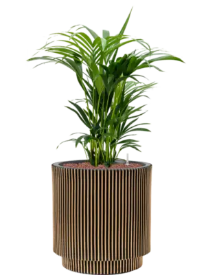 Hydroculture