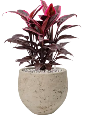 Soil (Vulkastrat)