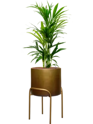 Hydroculture