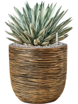 Soil (Vulkastrat)