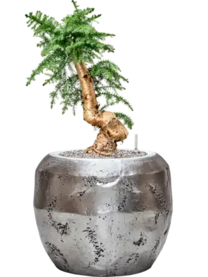Soil (Vulkastrat)