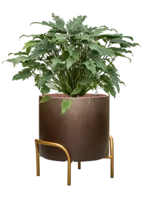 Hydroculture