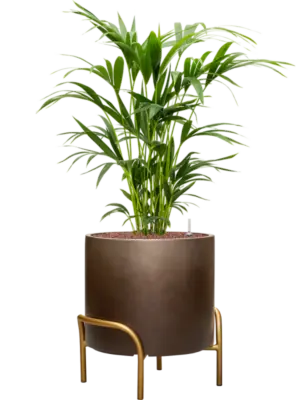 Hydroculture