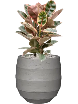 Luca Lifestyle Soil (Vulkastrat)