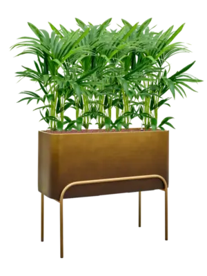 Hydroculture