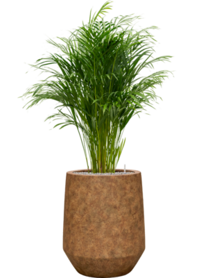 Soil (Vulkastrat)