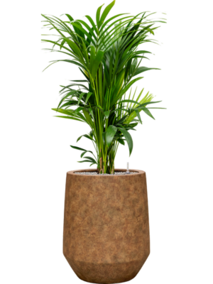 Soil (Vulkastrat)