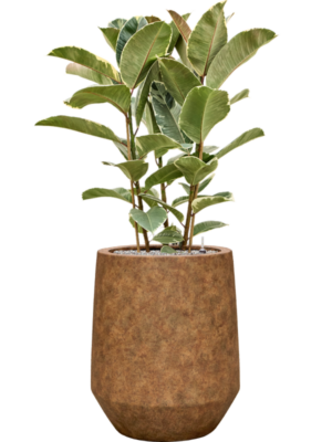 Soil (Vulkastrat)