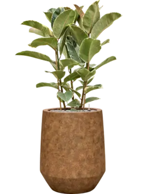 Soil (Vulkastrat)
