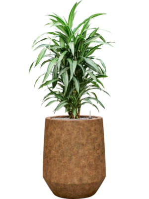 Soil (Vulkastrat)