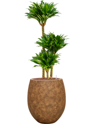 Hydroculture