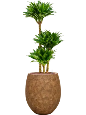 Hydroculture