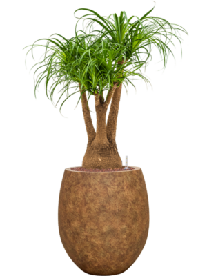 Hydroculture