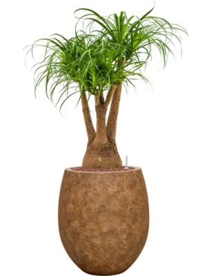 Hydroculture