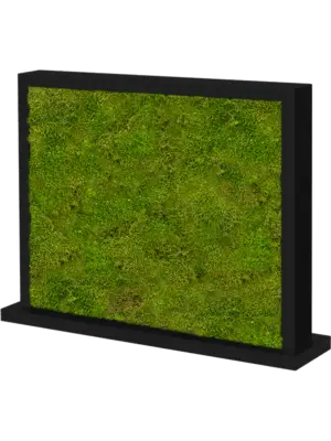 MDF Ral 9005 Satingloss Two-sided 100% Flat moss