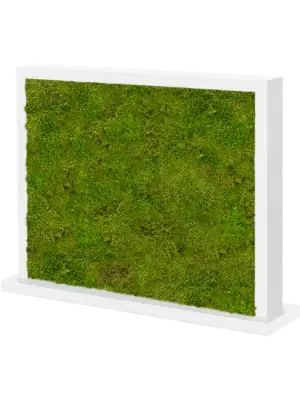 MDF Ral 9010 Satingloss Two-sided 100% Flat moss