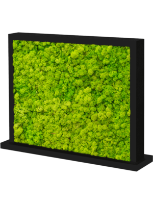 MDF Ral 9005 Satingloss Two-sided Reindeer moss(Spring green)