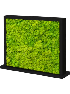 MDF Ral 9005 Satingloss Two-sided Reindeer moss(Spring green)