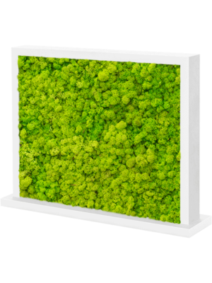 MDF Ral 9010 Satingloss Two-sided Reindeer moss(Spring green)