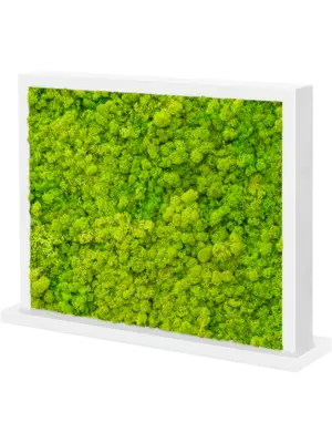 MDF Ral 9010 Satingloss Two-sided Reindeer moss(Spring green)
