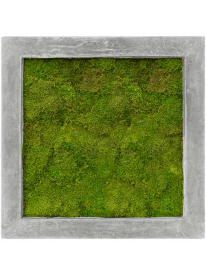 Polystone Raw Grey 100% Flat moss