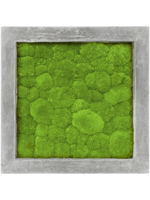 Polystone Raw Grey 100% Ball moss
