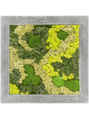 Polystone Raw Grey 30% Ball moss 70% Reindeer moss Mix)