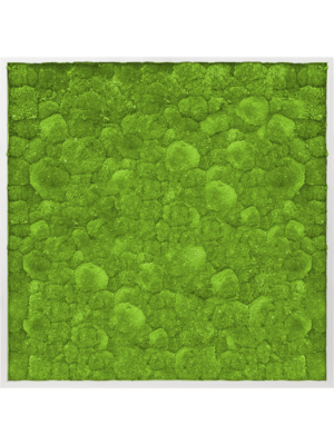 Aluminum 100% Ball moss
