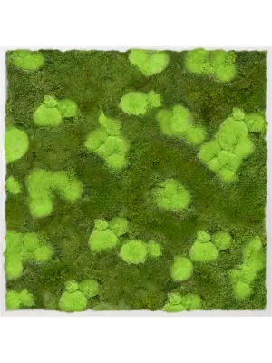 Aluminum 30% Ball- and 70% Flat moss