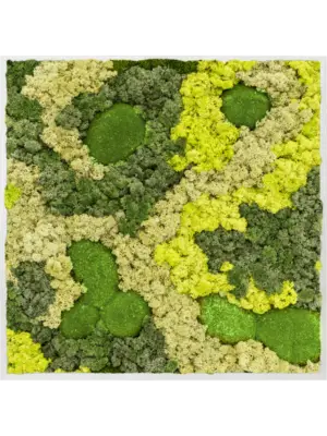 Aluminum 30% Ball moss 70% Reindeer moss (Mix)