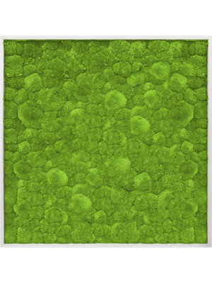 Aluminum 100% Ball moss