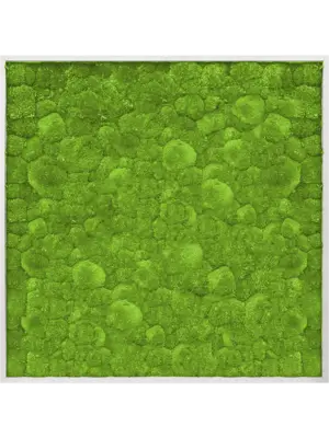 Aluminum 100% Ball moss