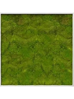 Aluminum 100% Flat moss