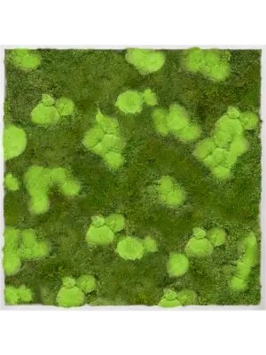 Aluminum 30% Ball- and 70% Flat moss