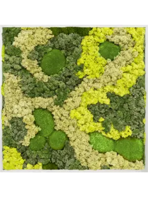 Aluminum 30% Ball moss 70% Reindeer moss (Mix)