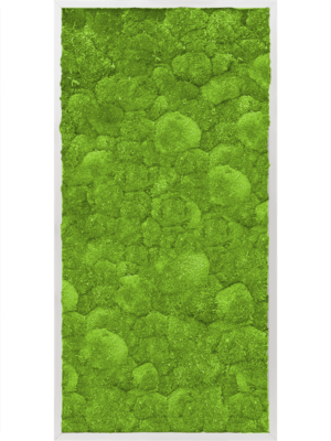 Aluminum 100% Ball moss