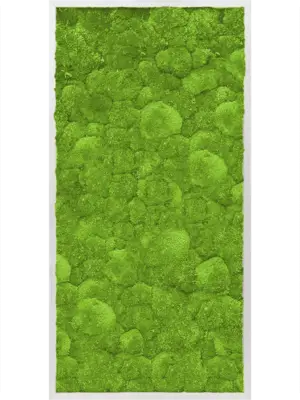 Aluminum 100% Ball moss