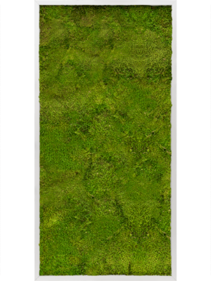 Aluminum 100% Flat moss