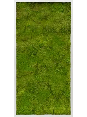 Aluminum 100% Flat moss
