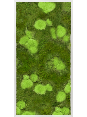 Aluminum 30% Ball- and 70% Flat moss