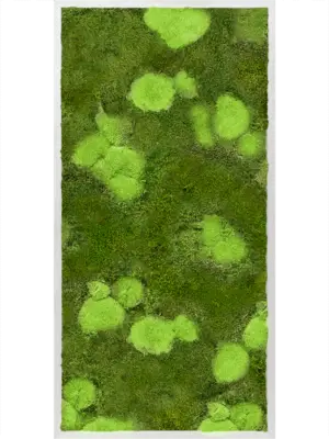 Aluminum 30% Ball- and 70% Flat moss