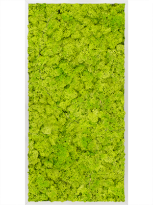 Aluminum 100% Reindeer moss (Spring green)