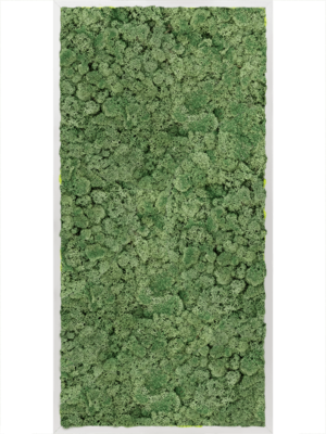 Aluminum 100% Reindeer moss (Moss green)