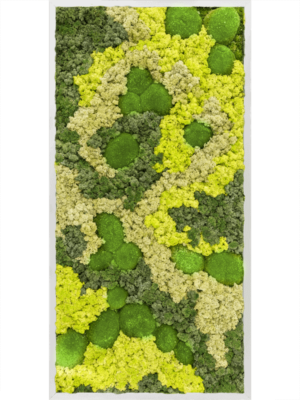Aluminum 30% Ball moss 70% Reindeer moss (Mix)